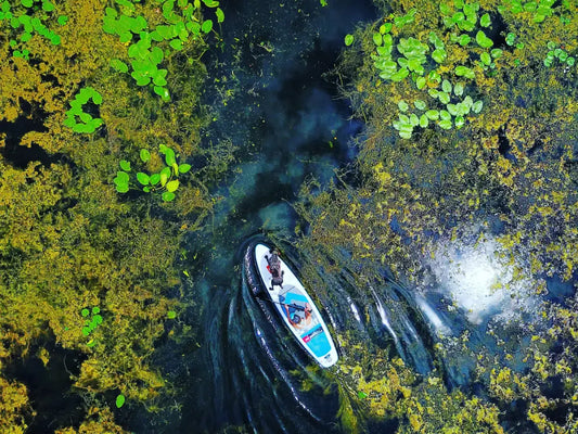 How to Get Started with Paddle Boarding: A Beginner's Guide